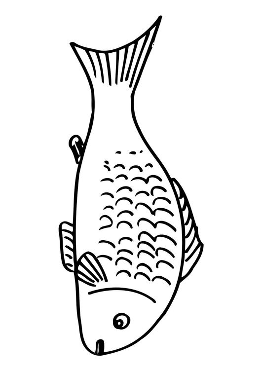 poisson