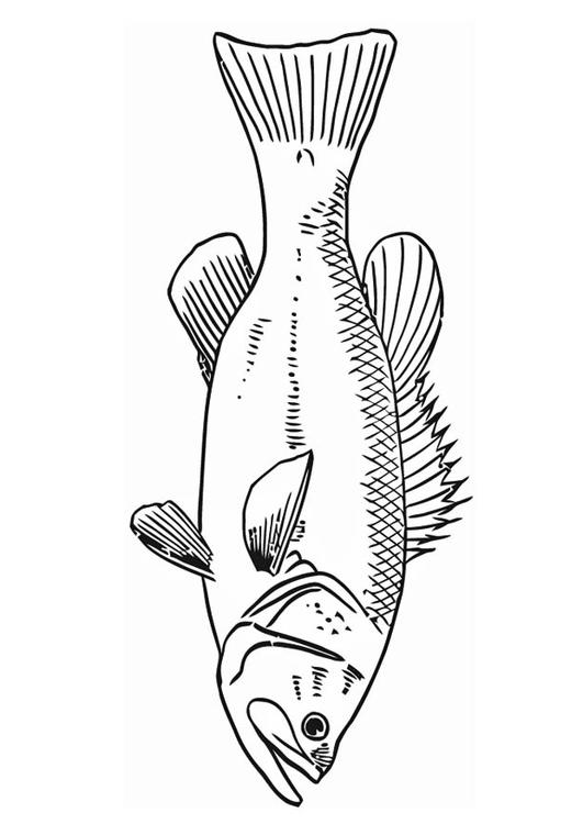 poisson