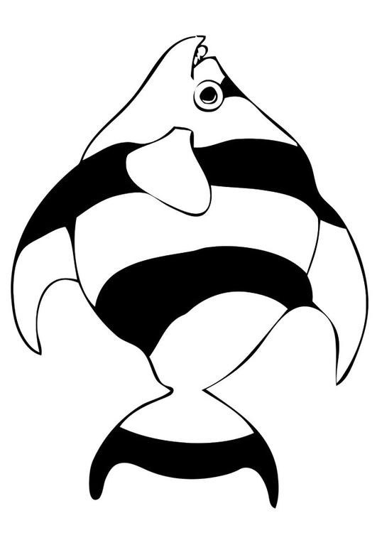 poisson
