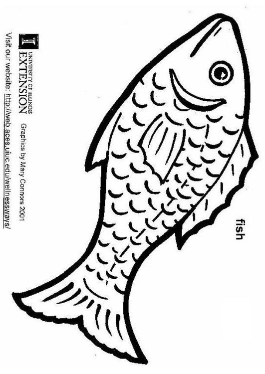 poisson