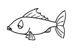 coloriage poisson