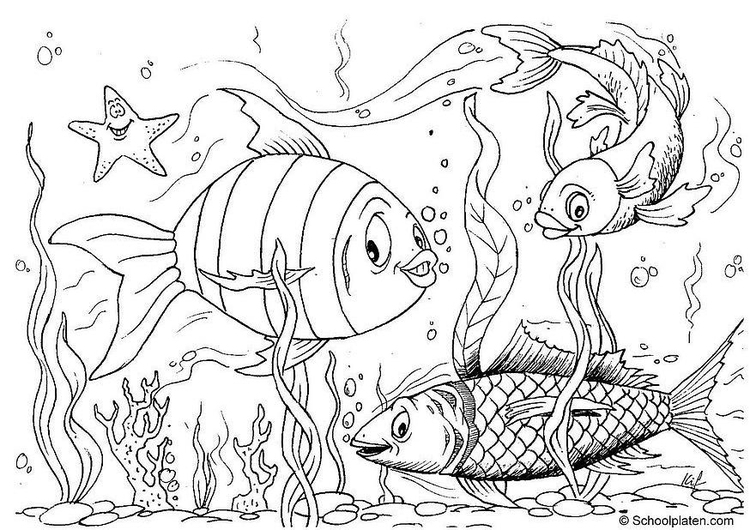 Coloriage poissons
