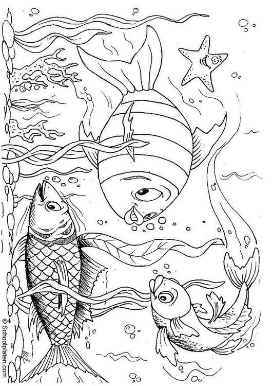poissons