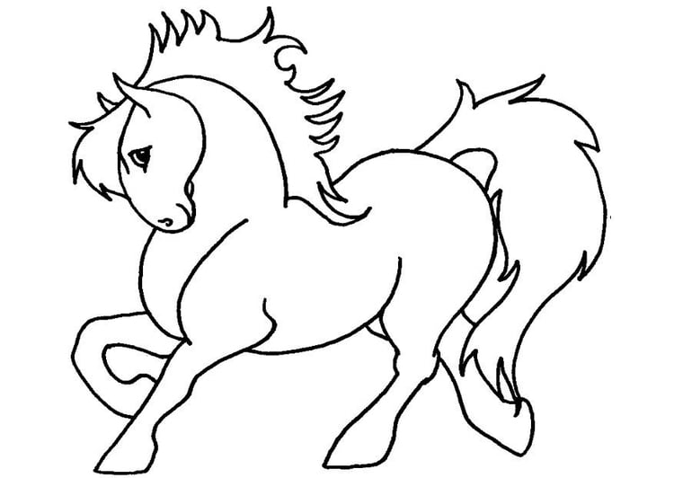 Coloriage poney