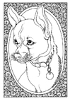 Coloriages portrait de chien