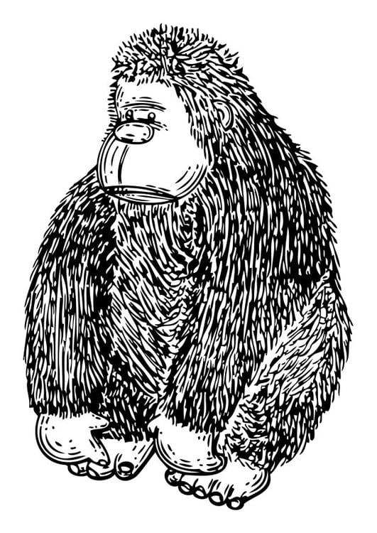 poupÃ©e - gorille