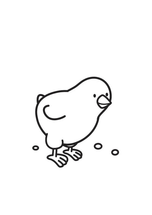 Coloriage Poussin