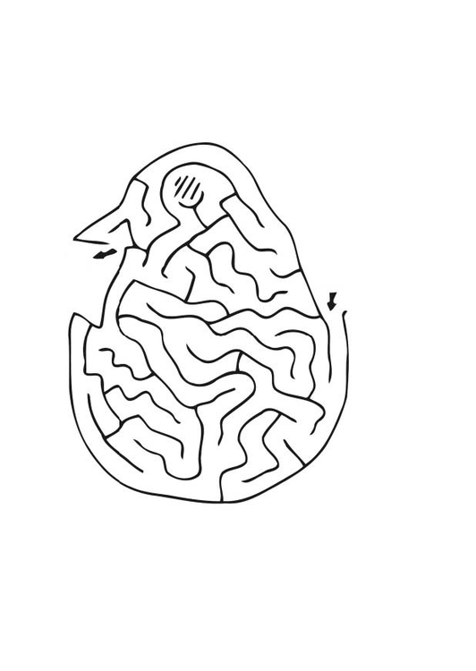 Coloriage poussin labyrinthe