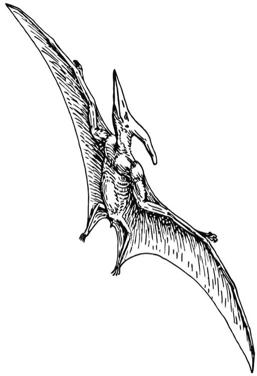 Pterodacyl