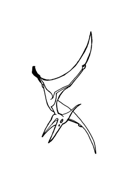 pterosaure