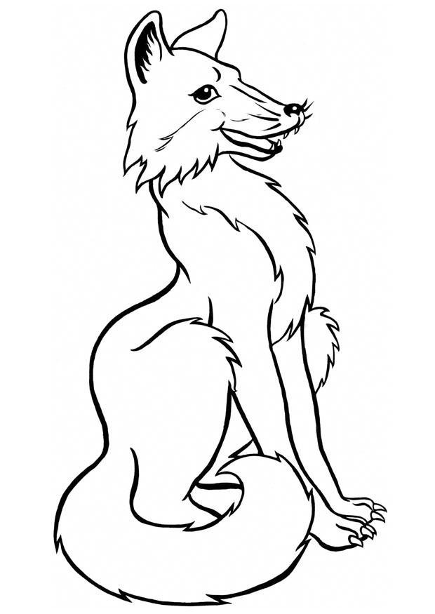 Coloriage renard  Coloriages Gratuits à Imprimer  Dessin 8916