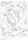 Coloriage requin marteau