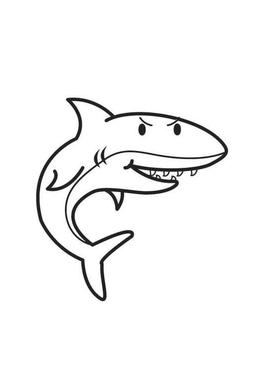 Coloriage Requin Coloriages Gratuits à Imprimer