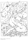 Coloriages requins