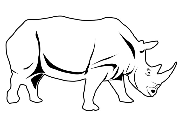 Coloriage rhinocÃ©ros