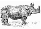 Coloriage rhinocÃ©ros