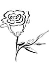 Coloriage rose