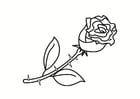 Coloriage rose