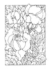 Coloriage roses