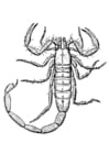 Coloriage scorpion