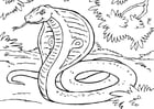 Coloriage serpent - cobra