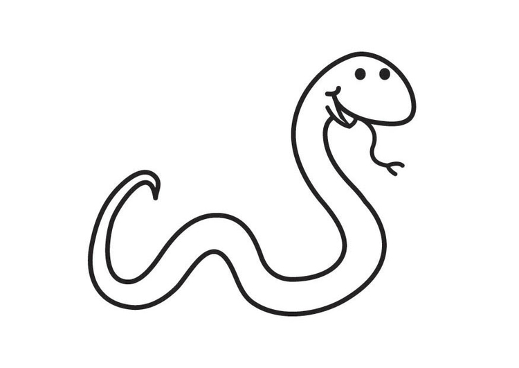 Coloriage Serpent img coloriage serpent i