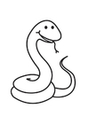 coloriage Serpent