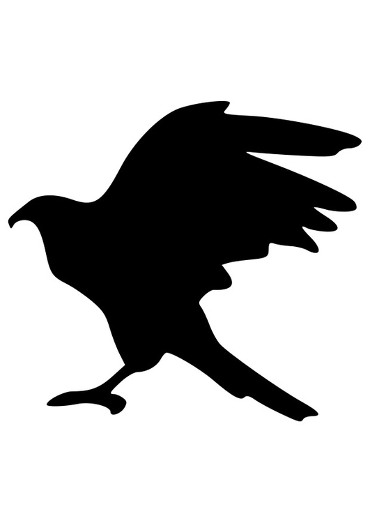 Coloriage silhouette d'aigle