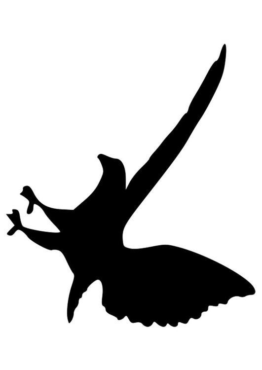 silhouette d'aigle