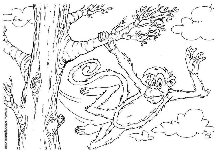 Coloriage singe