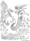 Coloriage sirÃ¨ne avec un hippocampe