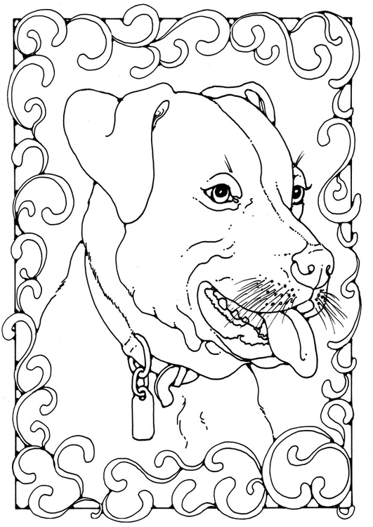 Coloriage staffordshire bull terrier