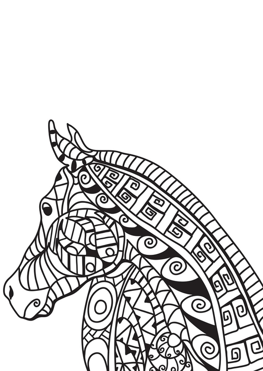 Coloriage tÃªte de cheval