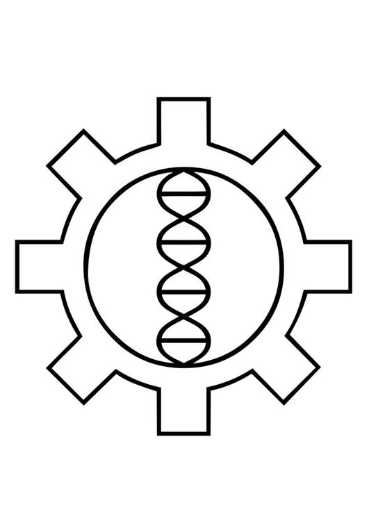 technique de biologie participative