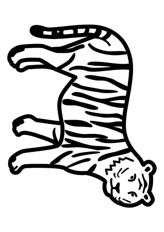 tigre debout