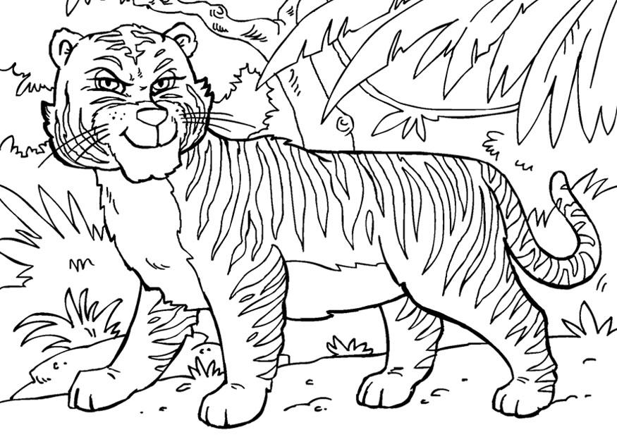 Coloriage tigre  Coloriages Gratuits à Imprimer  Dessin 27869