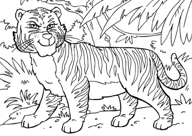 Coloriage tigre