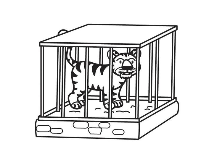 Coloriage Tigre en cage