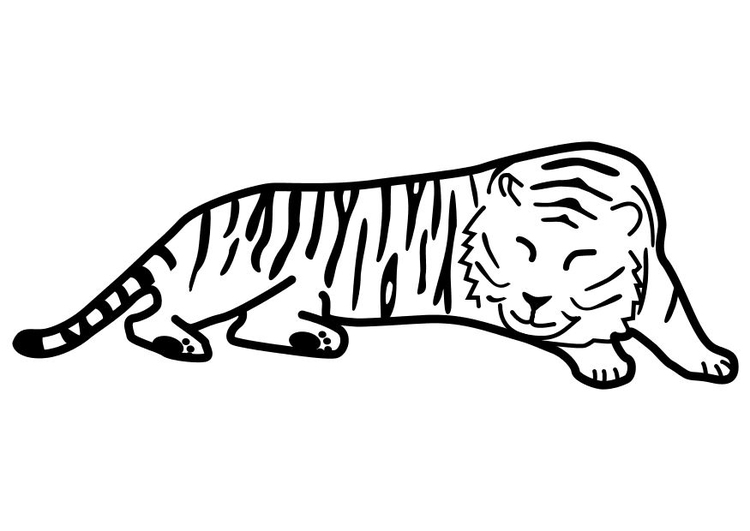 Coloriage tigre qui dort