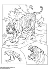 Coloriages tigre