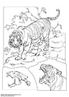 Coloriage tigre