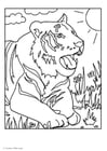 Coloriage tigre