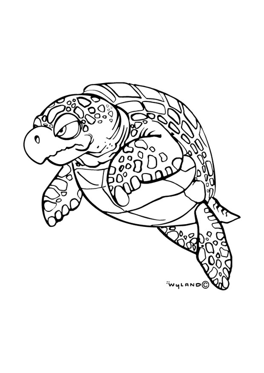 Coloriage tortue de mer