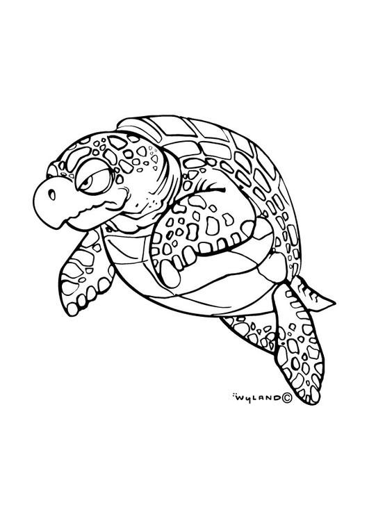 tortue de mer