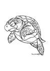 Coloriage tortue de mer