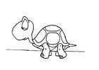 Coloriage tortue