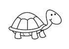 Coloriage Tortue