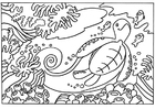 Coloriage tortue