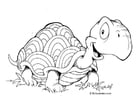 Coloriage tortue