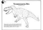 Coloriage T-rex